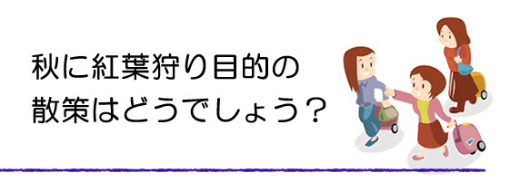 秋にもみじ狩りはどうでしょう？